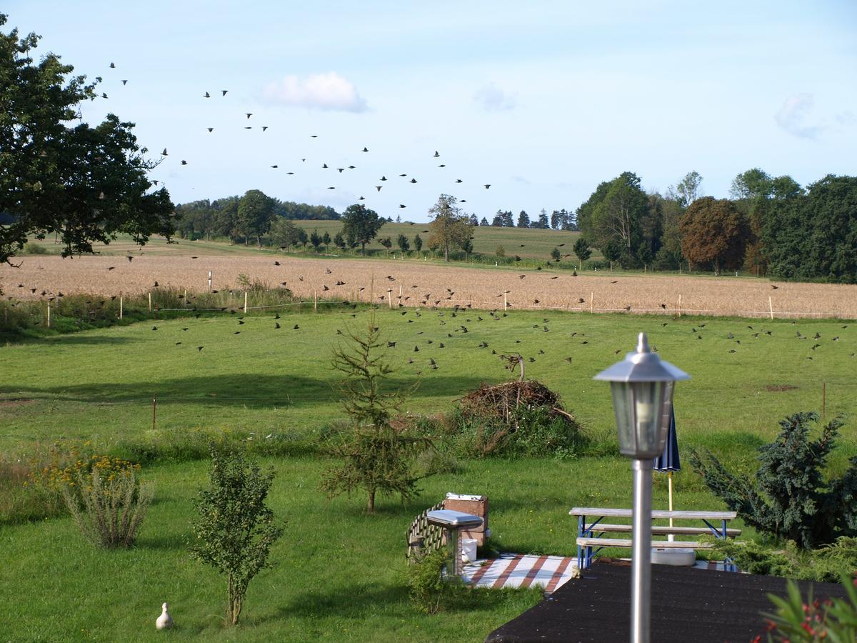 Landhaus Kranichwiese Göhren-Lebbin Esterno foto