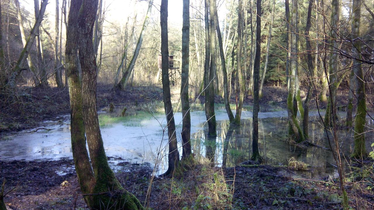 Landhaus Kranichwiese Göhren-Lebbin Esterno foto