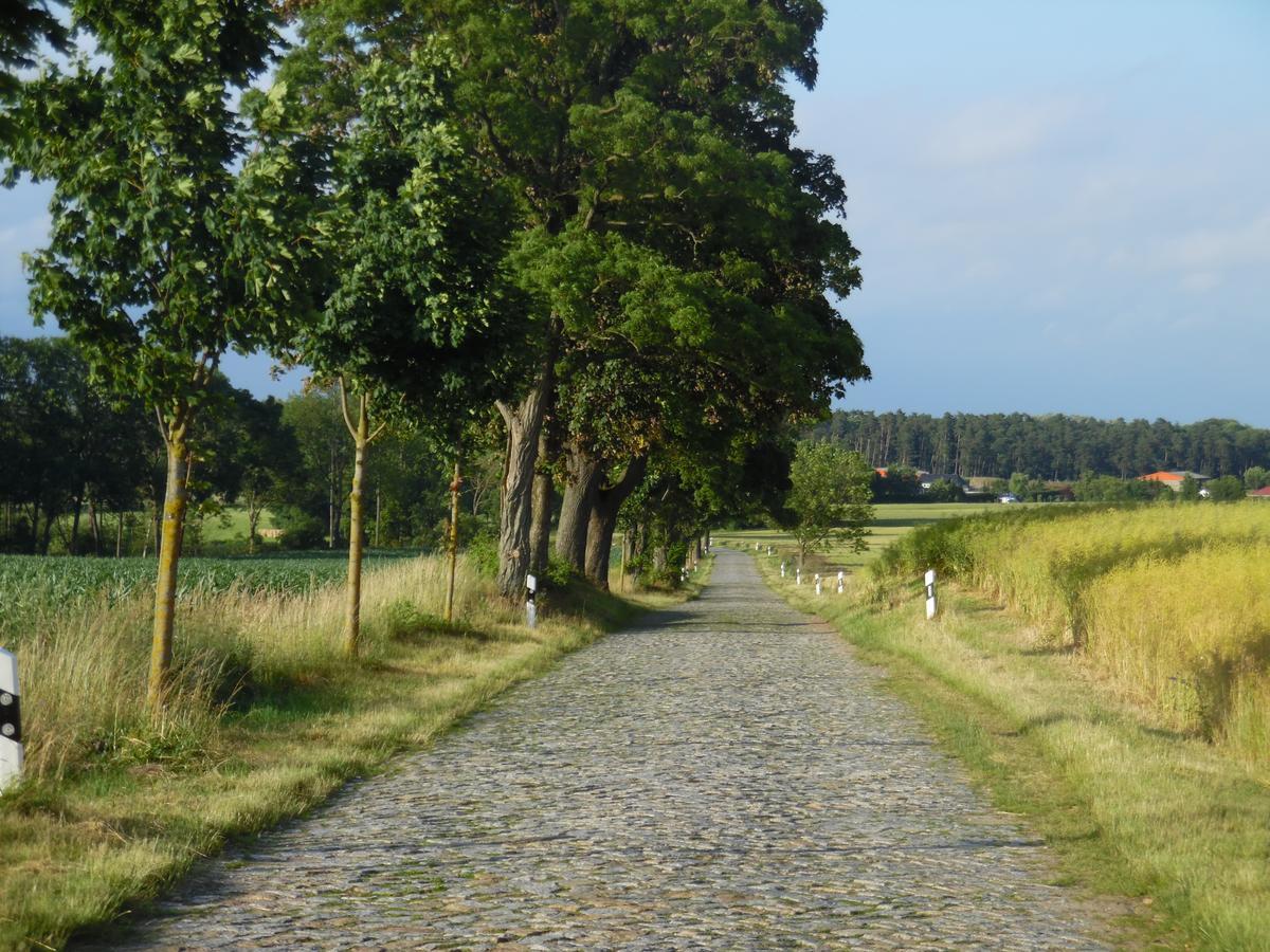 Landhaus Kranichwiese Göhren-Lebbin Esterno foto